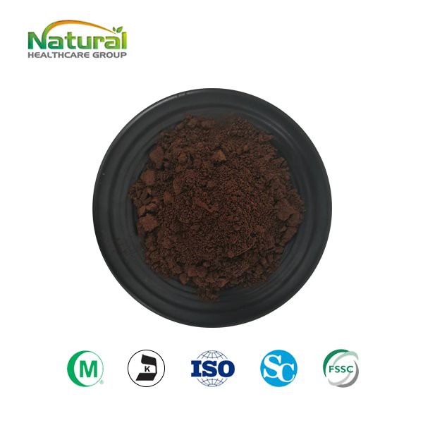 Slomljeni prah Ganoderma Lucidum Spore