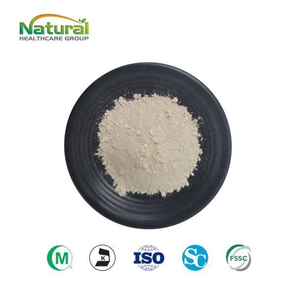 Garcinia Cambogia ekstrakt 60% HCA