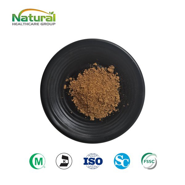 Reishi gljiva superfini prah