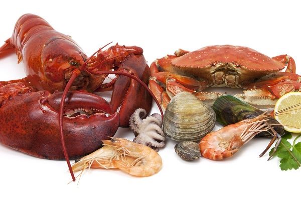 Top 5 Funkcija Astaxanthina za vodene životinje