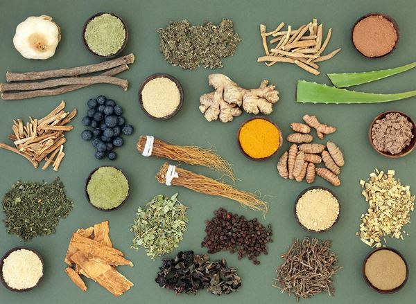 Adaptogen: Razvoj i tržišni trend