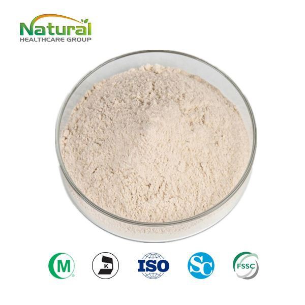 Ekstrakt belog luka u prahu