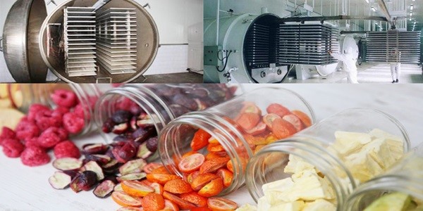 hot air drying and vacuum freeze drying hot air drying and vacuum freeze drying